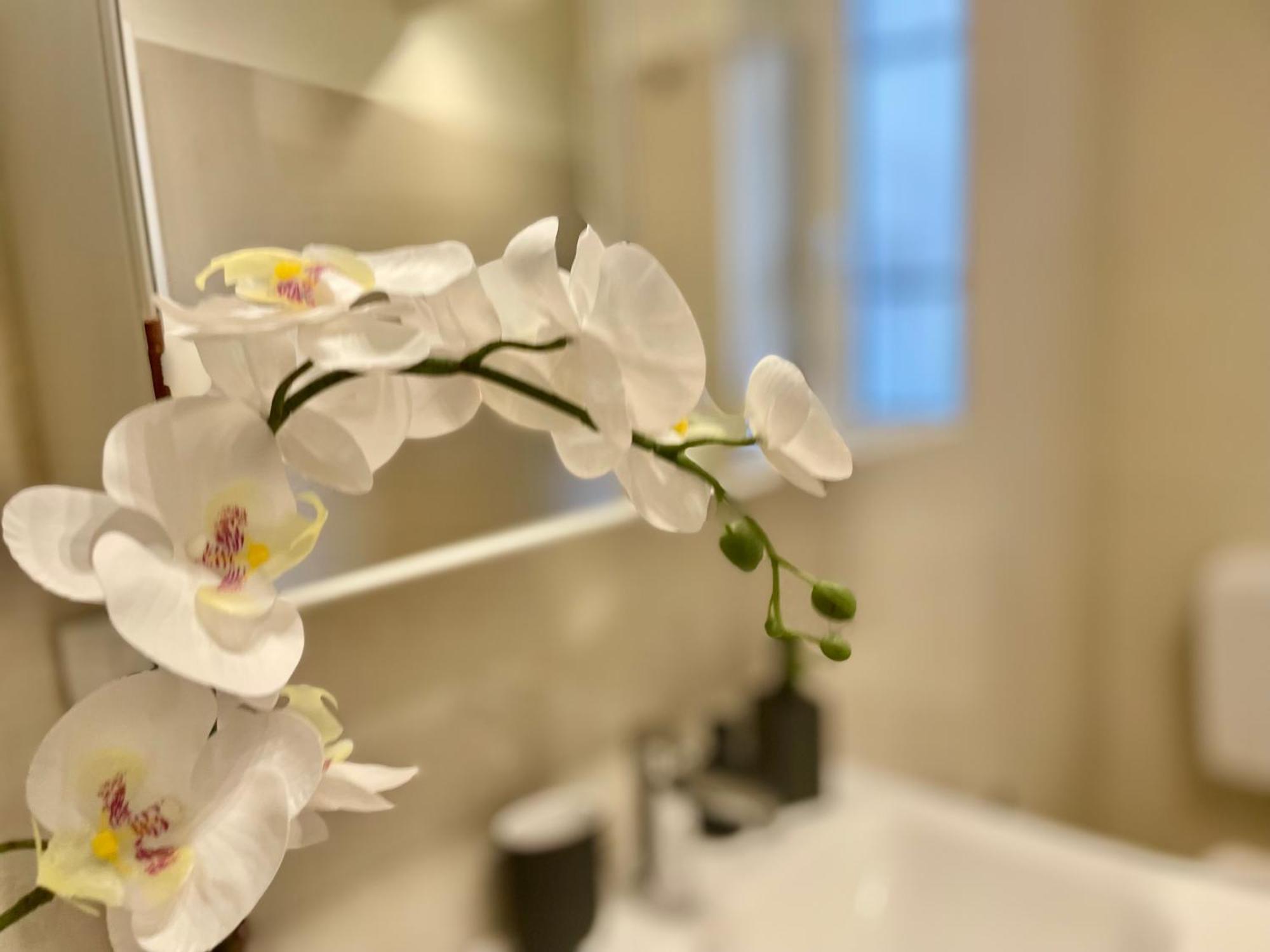 Happy Family Apartments Incantesimo เจนัว ภายนอก รูปภาพ